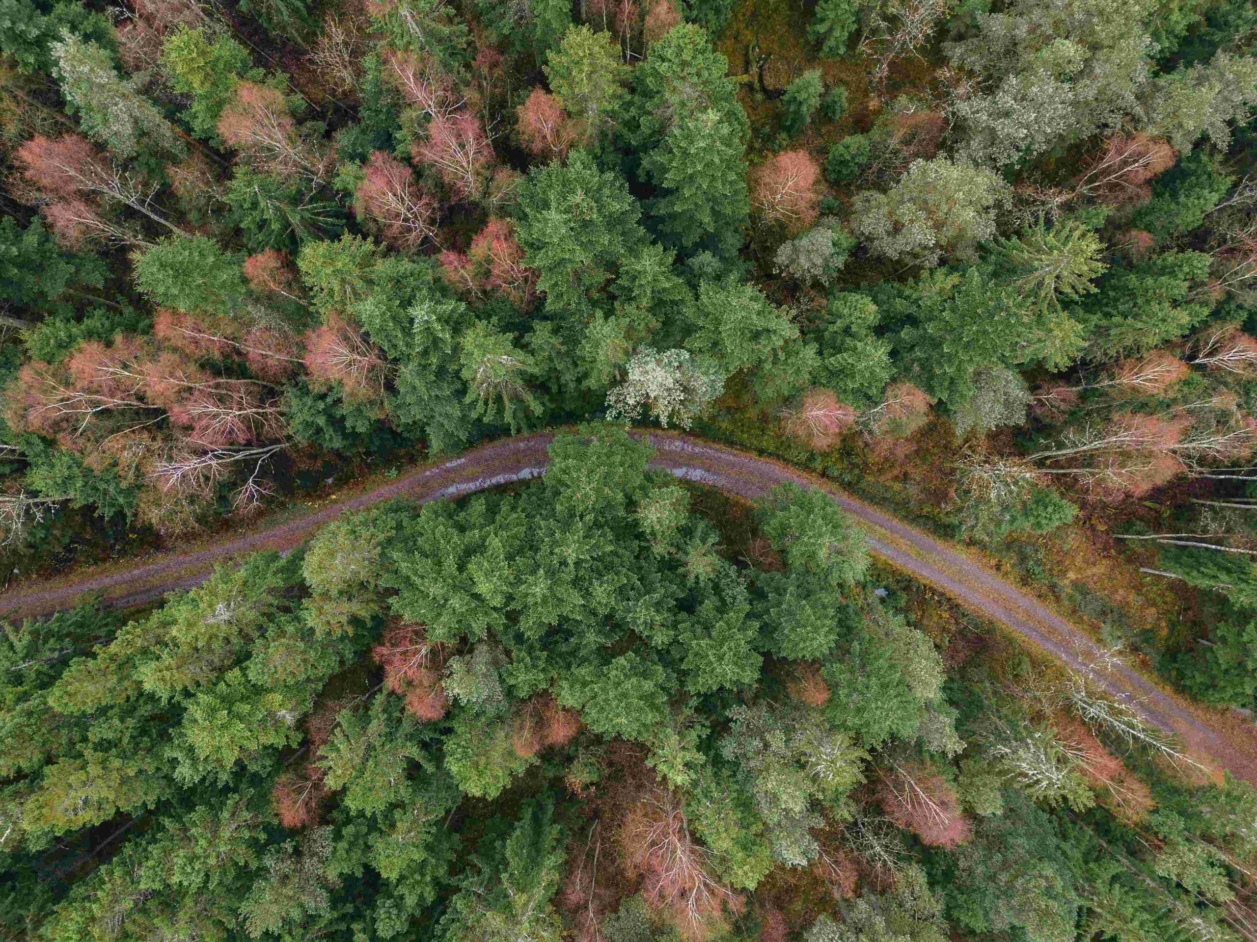 Specialiserade på Åkerbruk i Västra Skogen